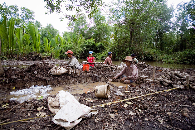 reforestation